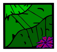 the kind buds logo